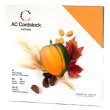 画像1: カードストック・パック　（Autumn）　60枚入り（15色×4枚）
