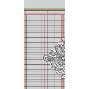 画像: 5-1/2×12インチ　トランスパレンシー  (Ledger)